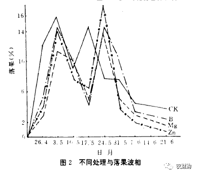 花期补硼，还是补硼锌镁？又或全都补？实验数据告诉你该补啥