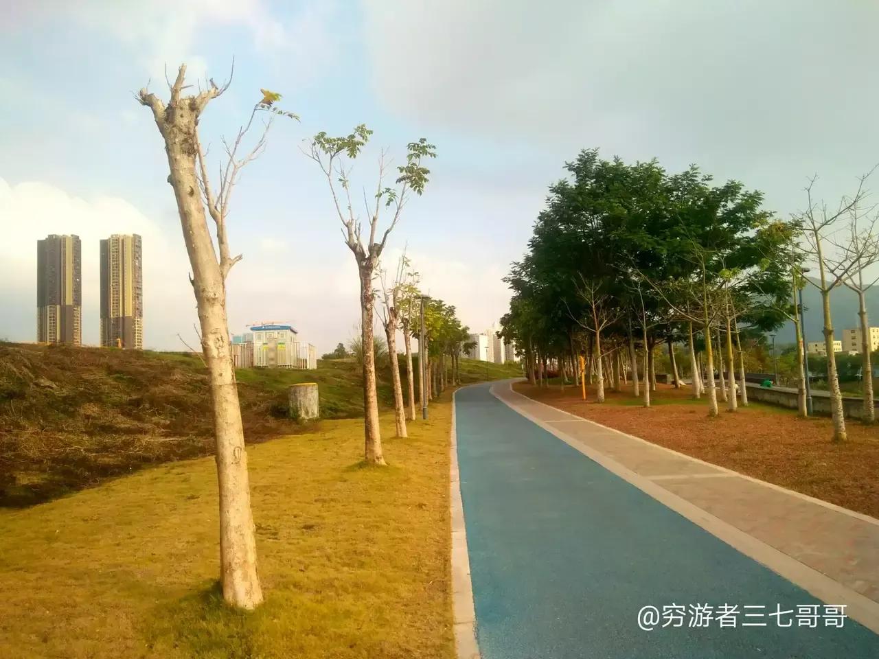 深圳很受欢迎8条绿道，是户外徒步圣地，地铁直达不要门票