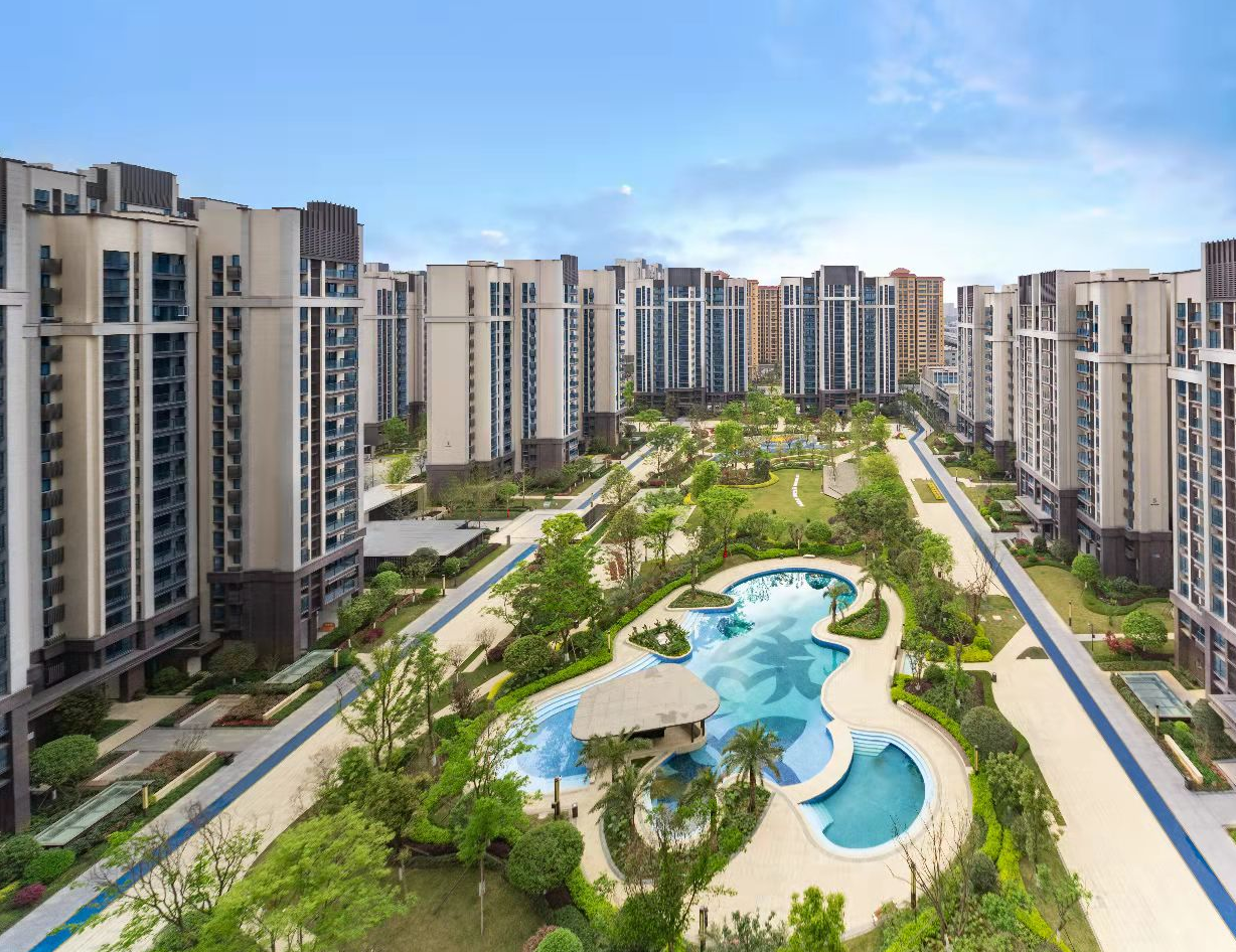 成都人才工作巡礼 | 市住建局：栽下梧桐树 引来“金凤凰”人才安居助力“蓉漂”幸福美好生活