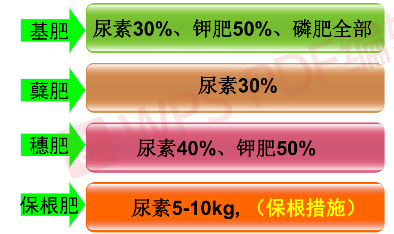 荃能稻·荃两优粤农丝苗—再生稻栽培技术指导