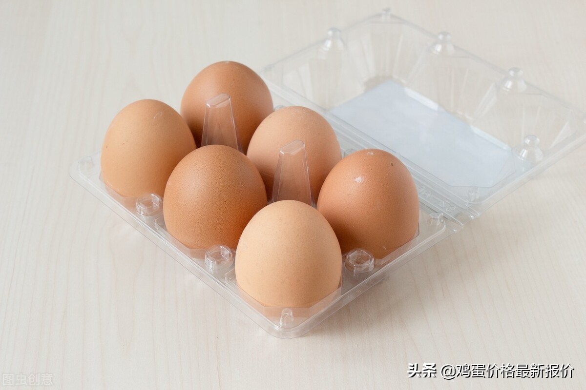 今日唐山淘汰蛋鸡价格「今日山东淘汰蛋鸡价格」