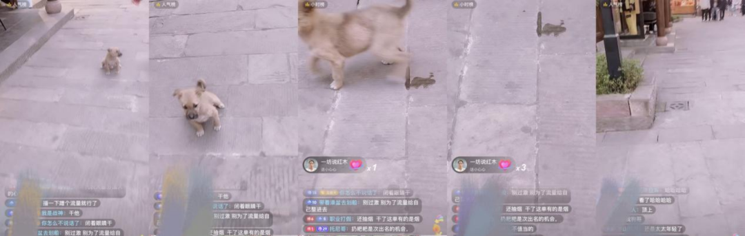 主播围攻星巴克