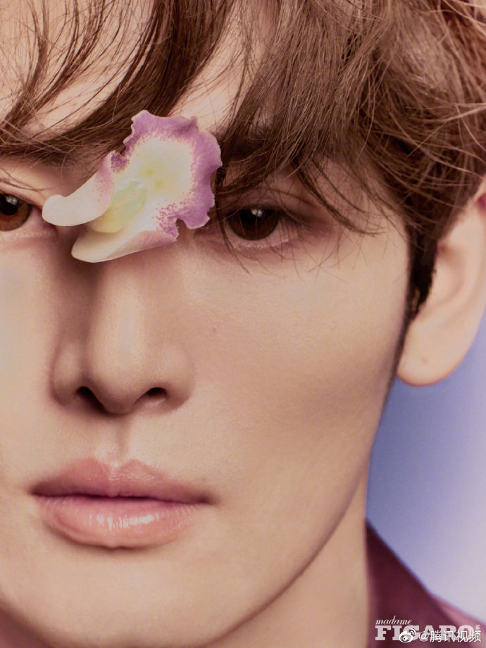 7.17美图：秦岚 任豪 肖战 檀健次 罗云熙 龚俊 张予曦 唐嫣 李易峰 王俊凯