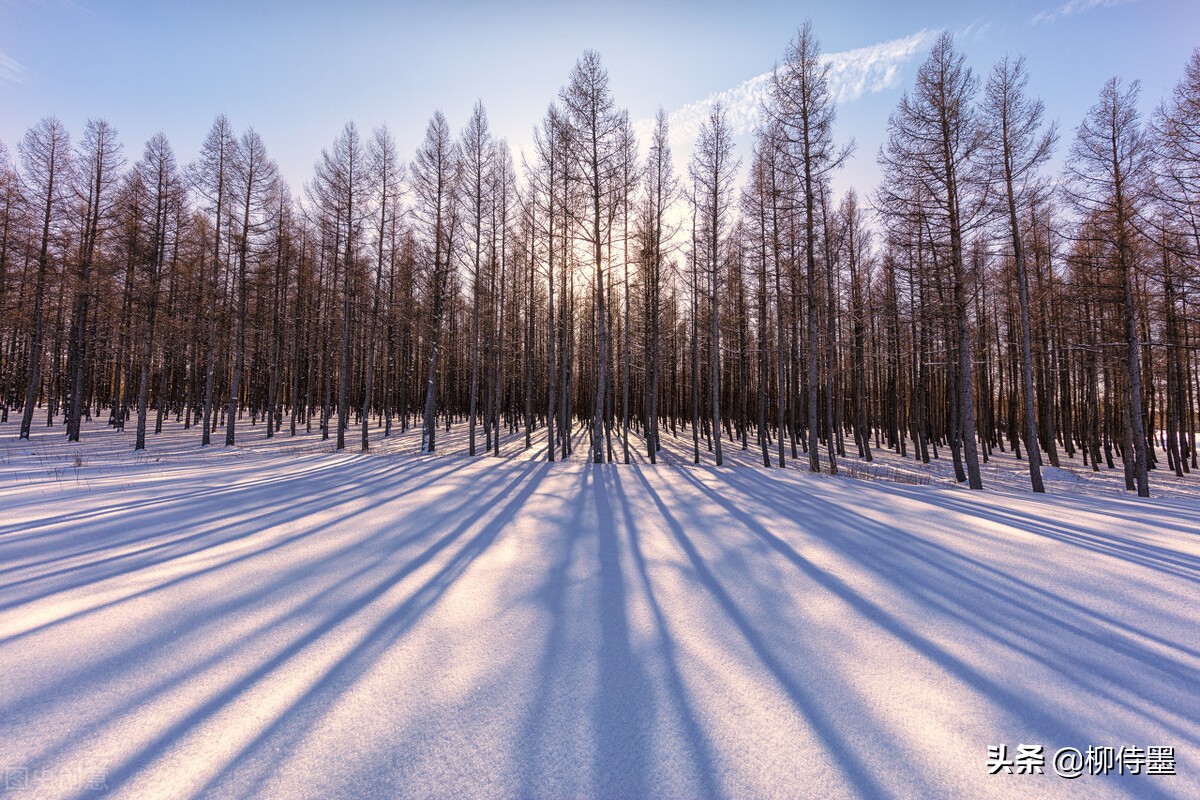 提升雪景照片的“高级”感，5个摄影技巧，让照片更有意境