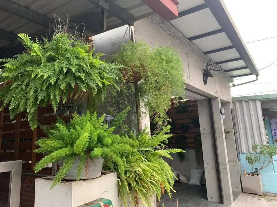 老师DIY改造32年独栋老屋，变身网红民宿，朋友天天串门子