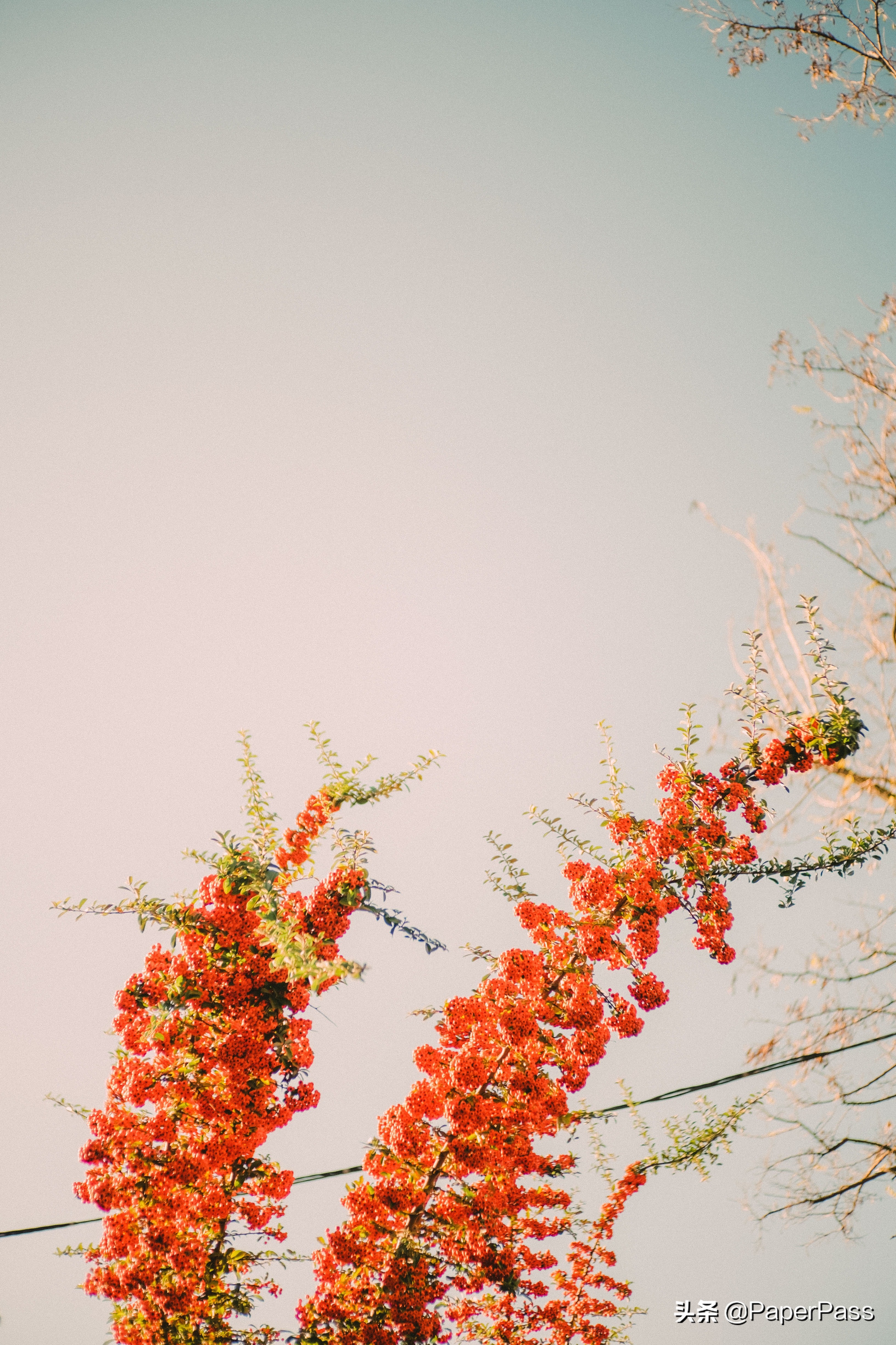 高三逆袭有可能吗？距离高考还有60天，把成绩从400多提到600