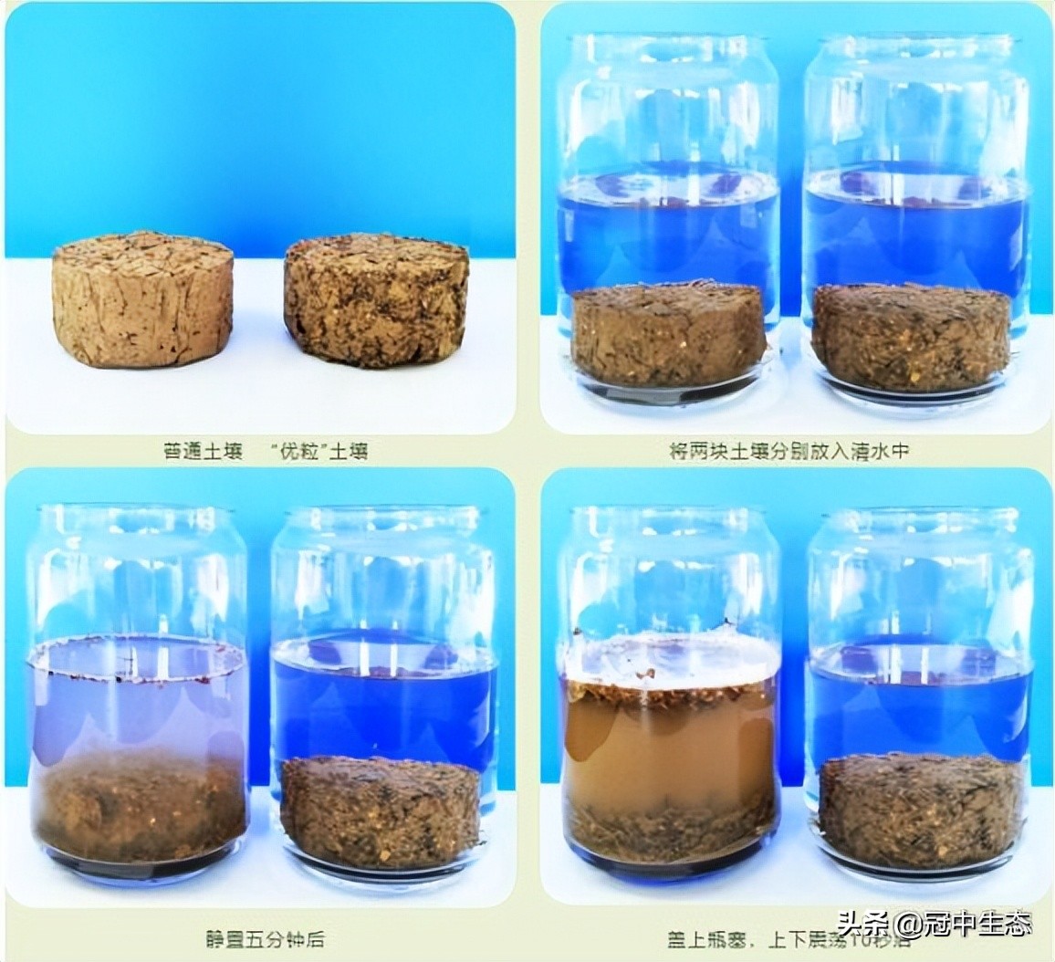 冠中生态｜揭开“优粒”土壤的神秘面纱