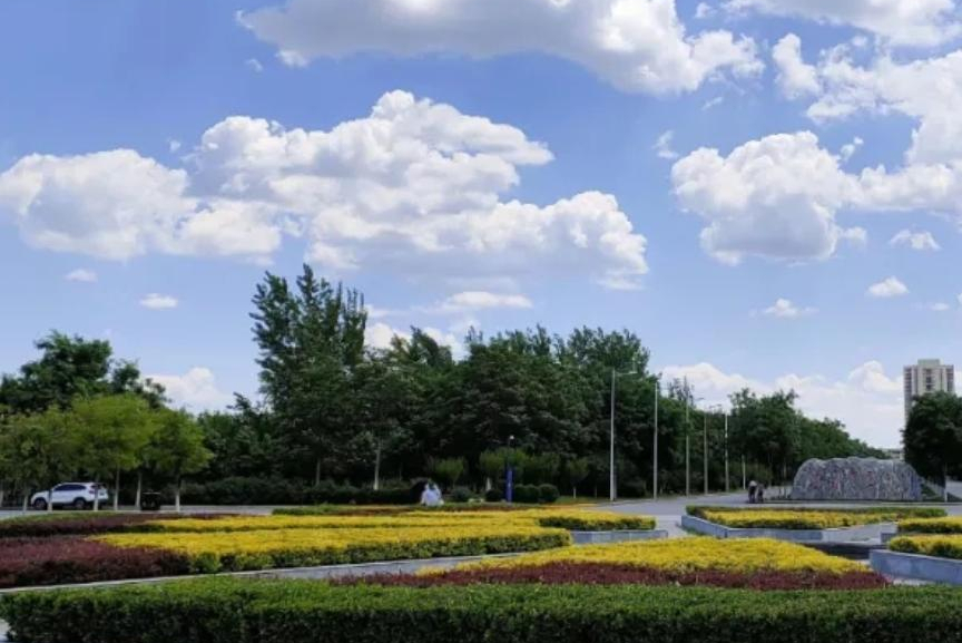 新增中国画专业！天津师范大学发布2022年艺术类招生专业及范围