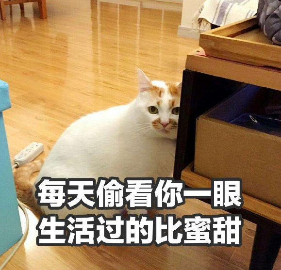 九锤配音