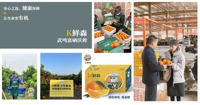 未来电商怎么做？这里有你想要的答案