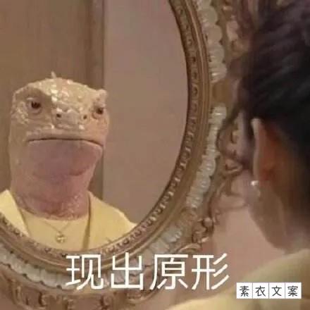 碾压智商的神回复(第2期)