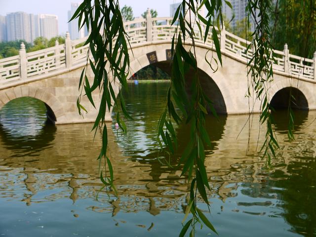 折柳送别的诗句 十首送别的古诗-展商网