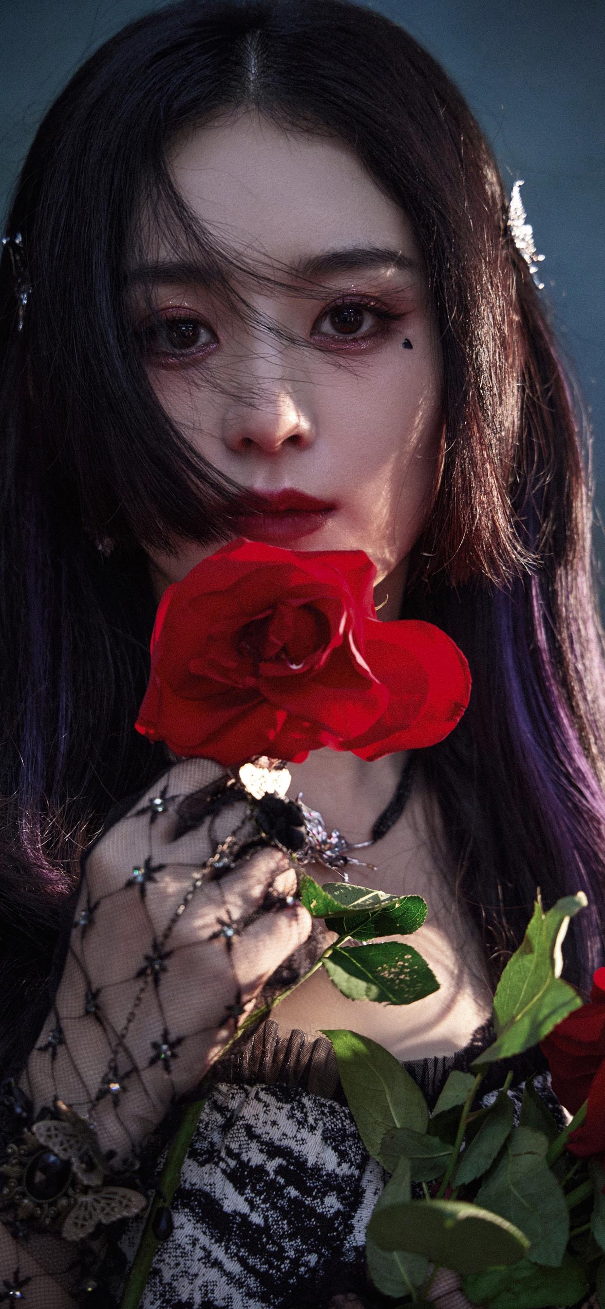 赵丽颖壁纸｜红色玫瑰系列