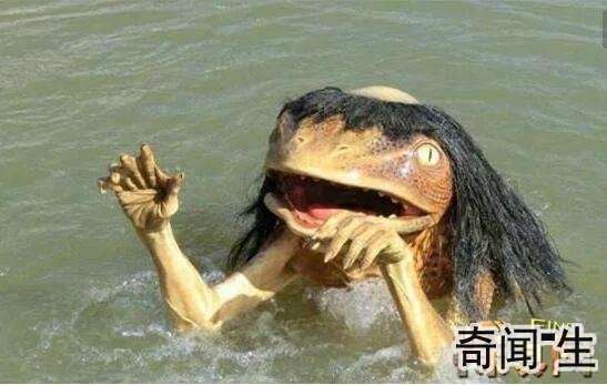 神秘诡异的"河童"