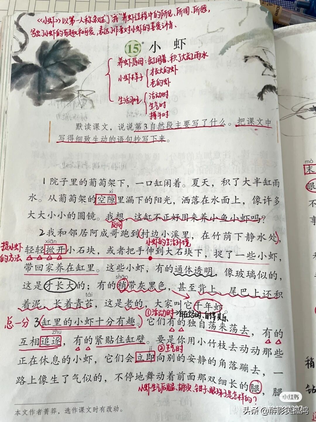 三年级语文下册第4单元课堂笔记，详细整理课文知识点