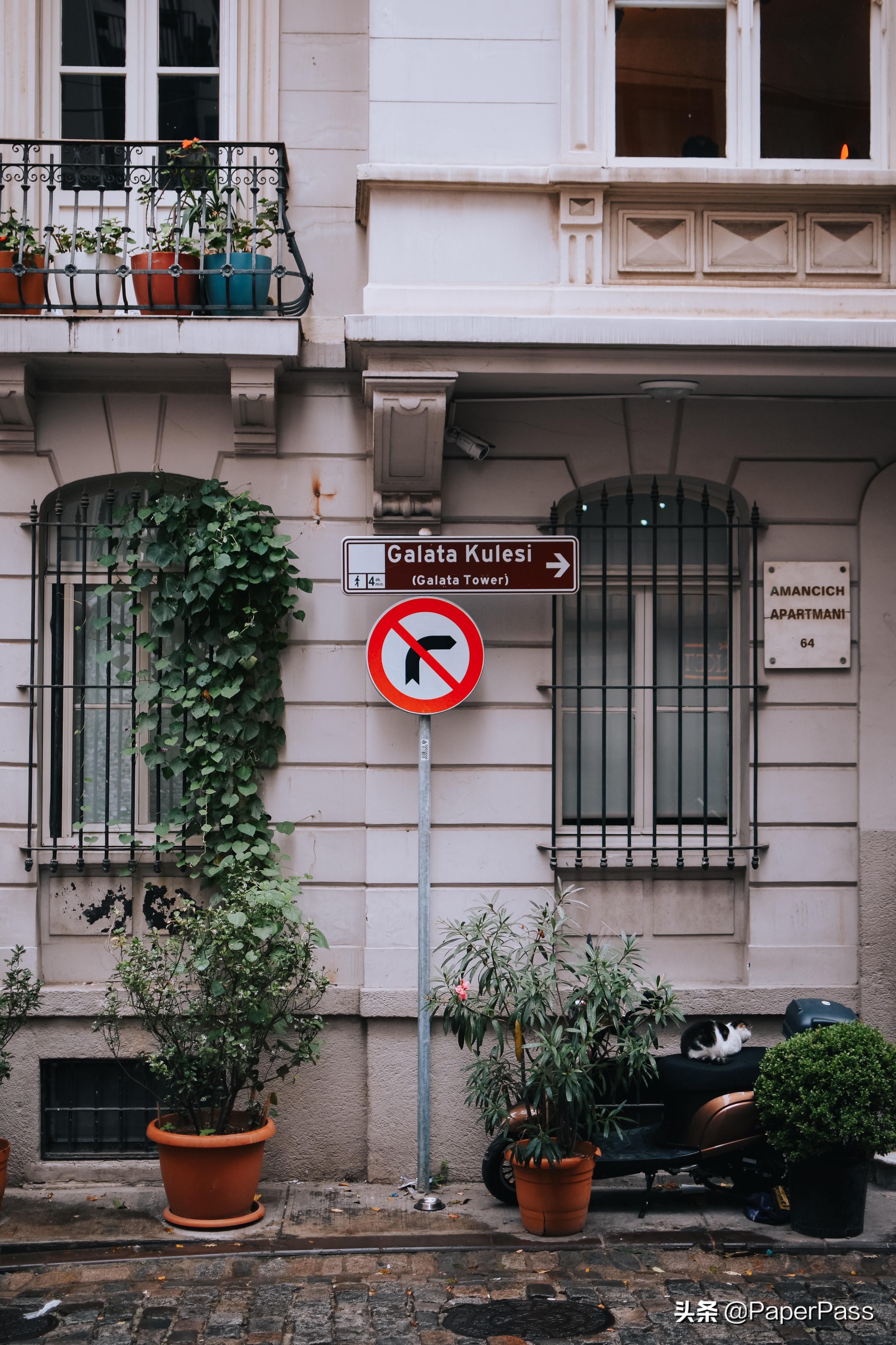 高中生视角：上大学会像高中老师说得那么轻松吗？