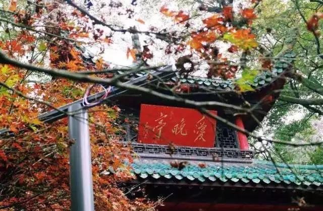 湖南这所高校：坐拥“国宝级”建筑，地铁直达校舍，随手一拍就是大片！