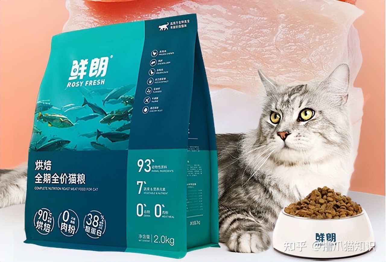 欧冠和卫仕猫粮哪个好(2022年618有哪些值得入的猫粮推荐？高性价比猫粮、猫粮排行榜)