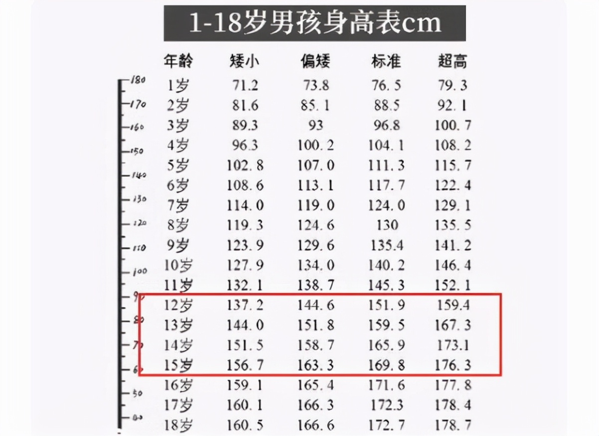 初中生用的篮球是几号(中学生标准身高表，这个数才算达标，你是娇小玲珑还是人高马大)