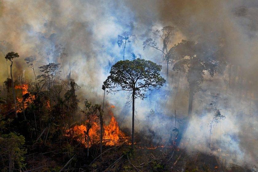 為拯救亞馬遜雨林，環保NFT不到一個小時竟被搶購一空