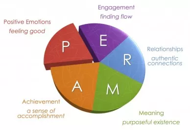 我国学校教育层次包括（正向教育）