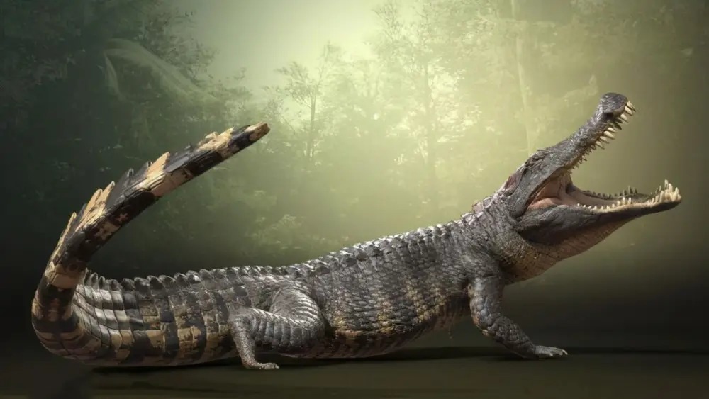 盘点地球上曾经存在过的10种可怕的远古生物