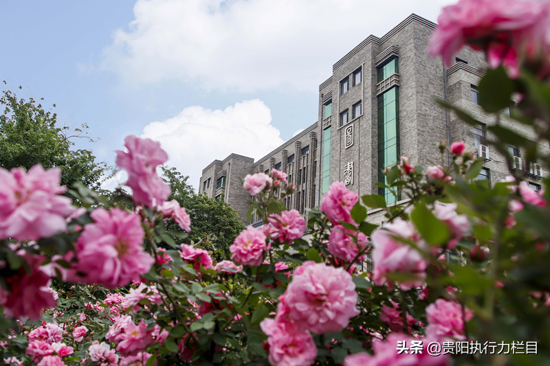 高校招生面对面之沈阳工学院