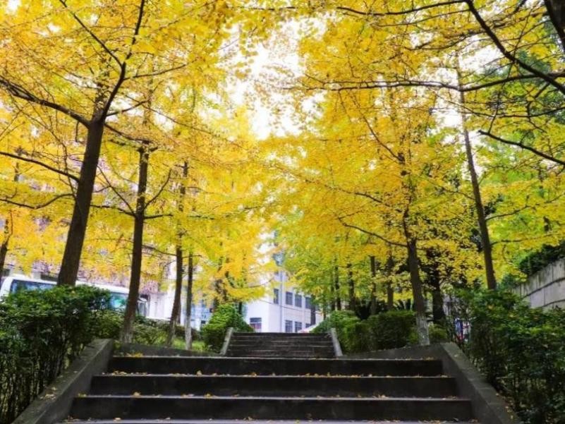 成都这所高校“火了”！食宿配置豪华，拥有绝美风光，学生幸福感爆棚！