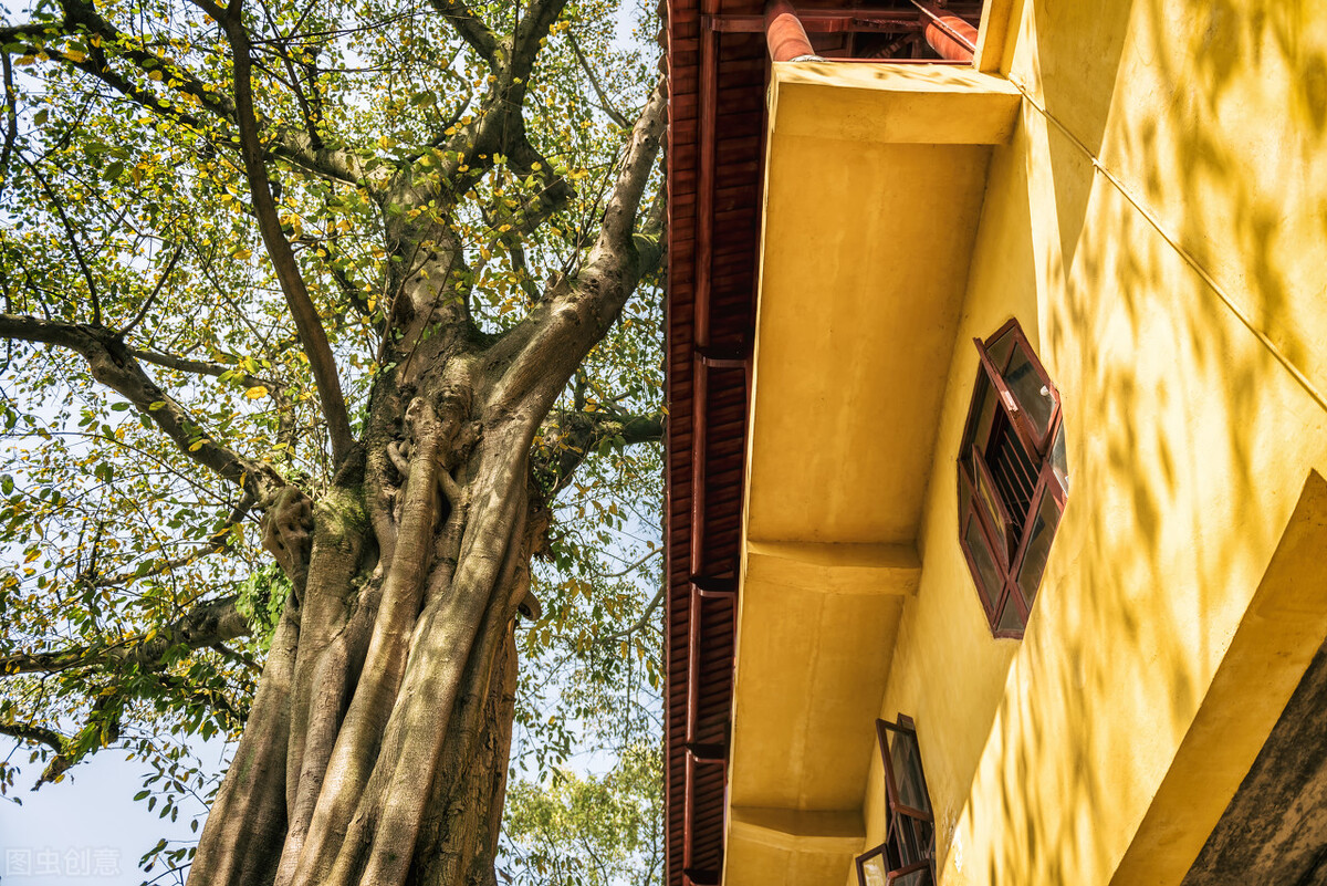 重庆南山涂山雕塑公园游玩攻略,有趣玩法看雕塑猜成语