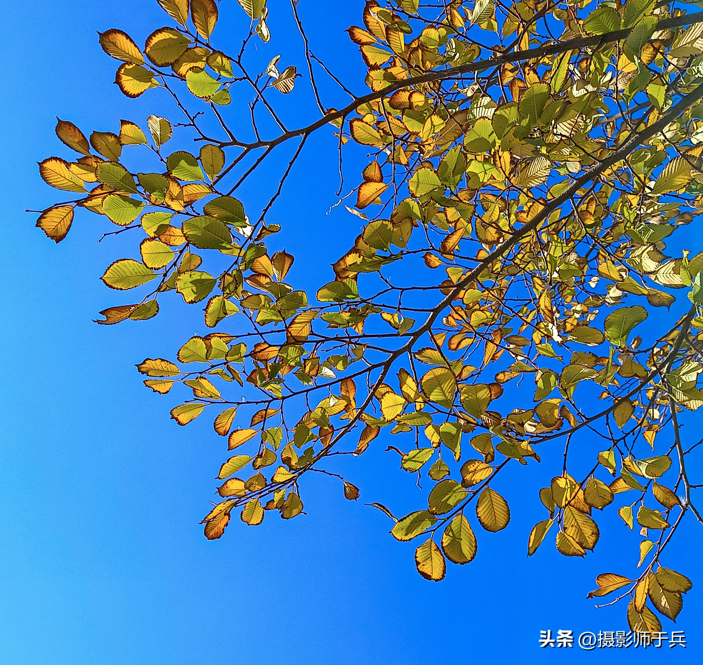 秋天唯美短句,最适合发朋友圈