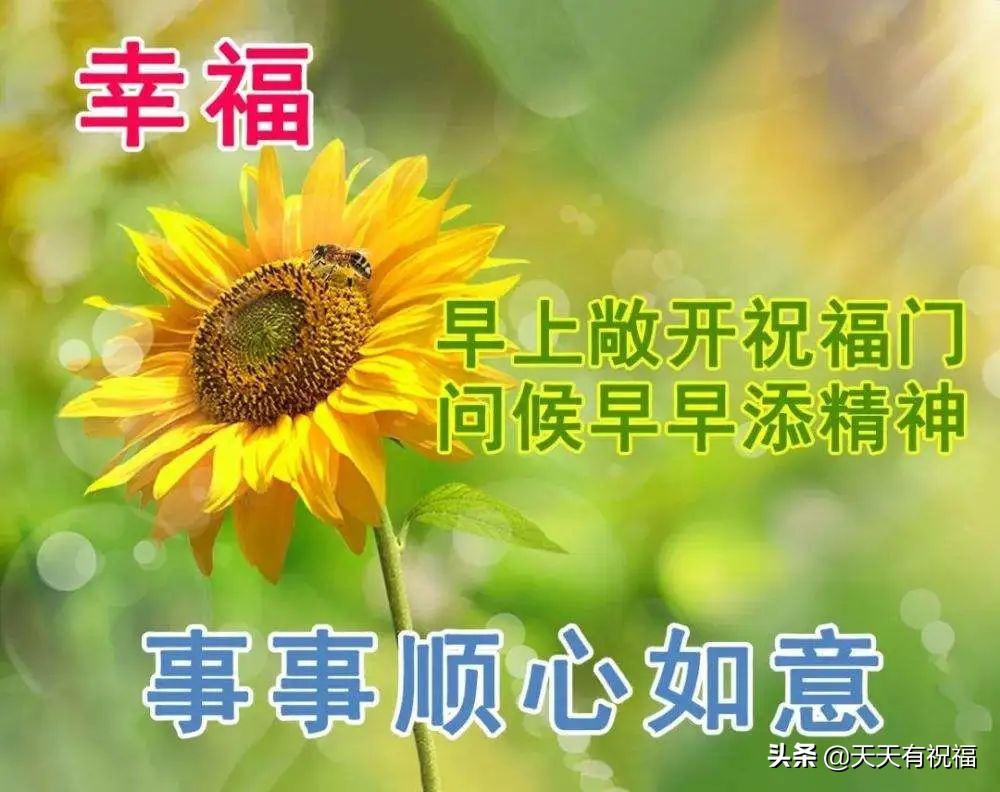 最美早安问候祝福语图片带字温馨 朋友圈暖人心的早安问候祝福文字