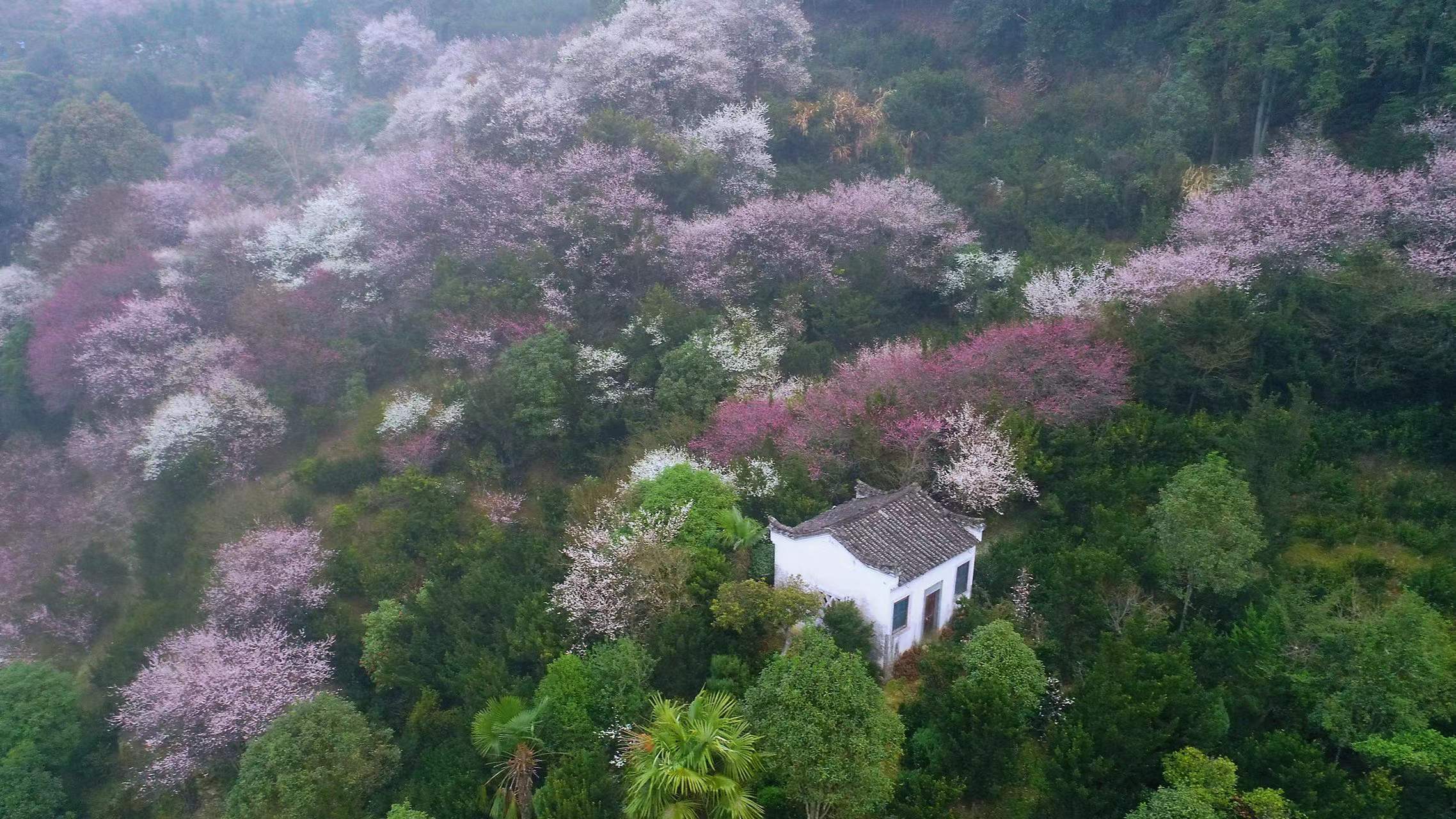 安徽有个很值得去的旅行宝藏城市，处处是风景，非常适合养老定居