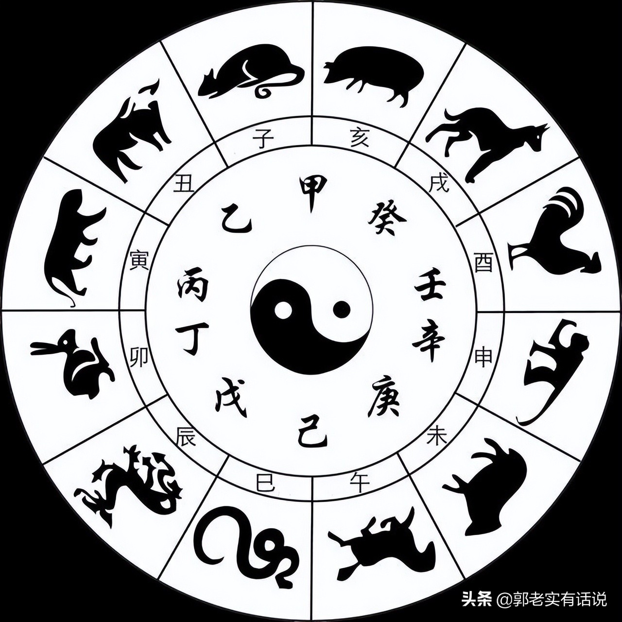 天干地支与阴阳的对应关系