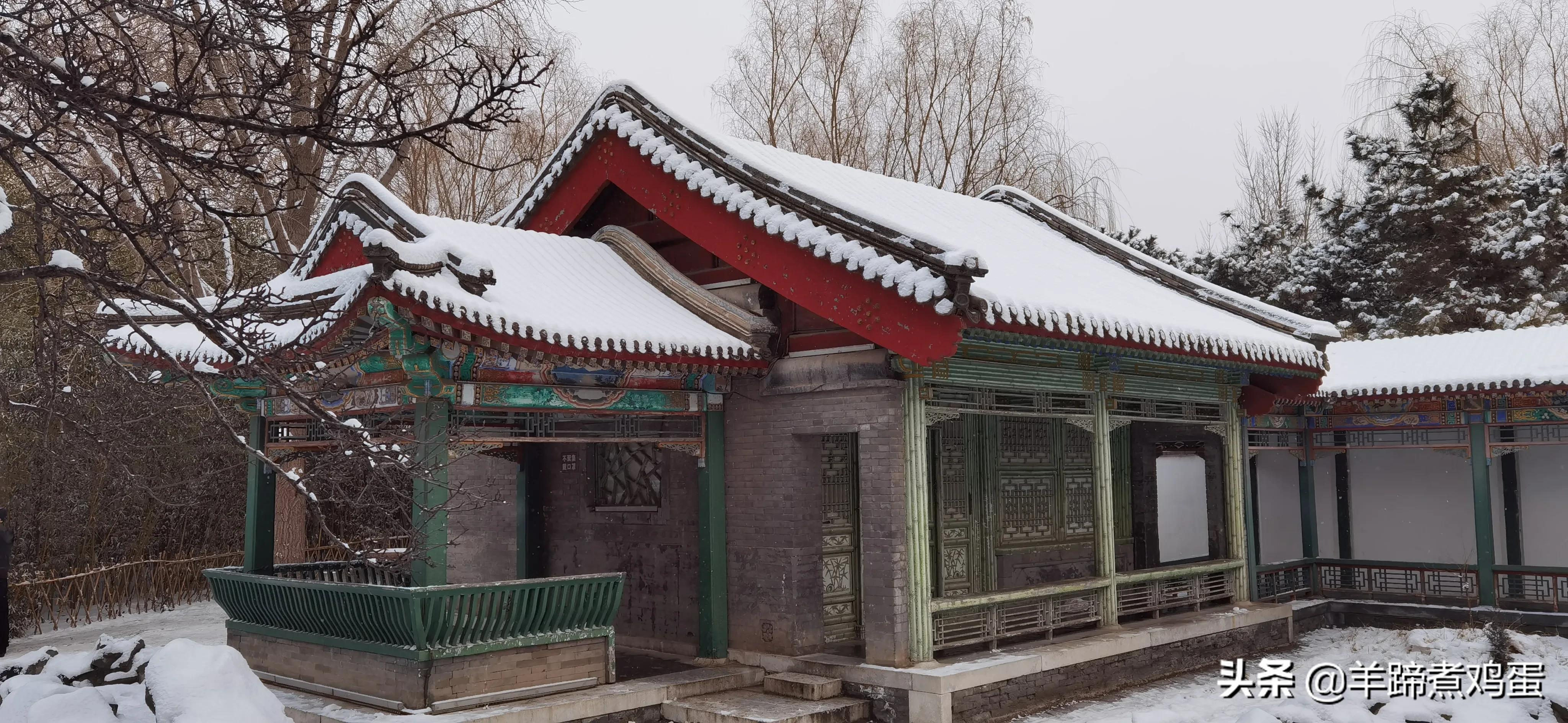 难览观园全画景雪覆腊梅一隅香——踏雪寻游北京大观园