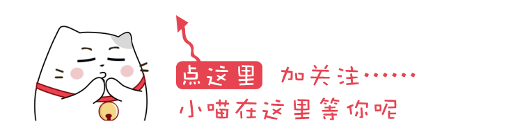 幼猫喂养指南！0-6个月小猫怎么养