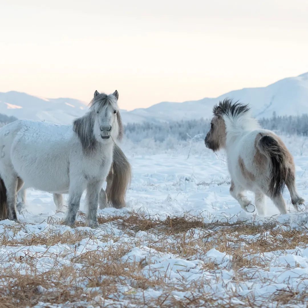 比黄金还珍贵的土，是什么土？｜地球知识局