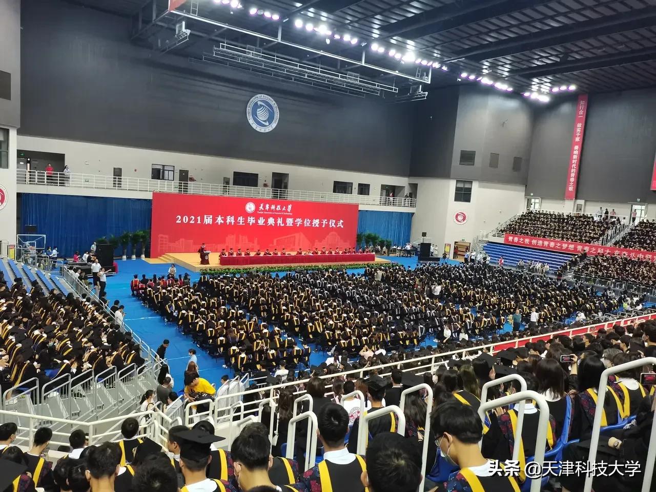 【年末总结】2021将成过往，2022开启新生！