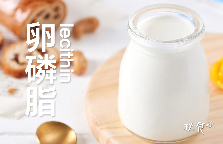数九寒天必备：十大高蛋白食物助你温暖过冬