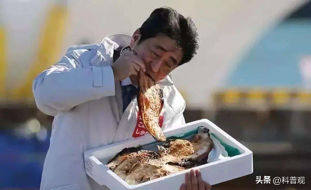 日本人在世界杯的素质（世界杯日本人捡垃圾，被赞素质高？别忘了日本要排核废水入海）