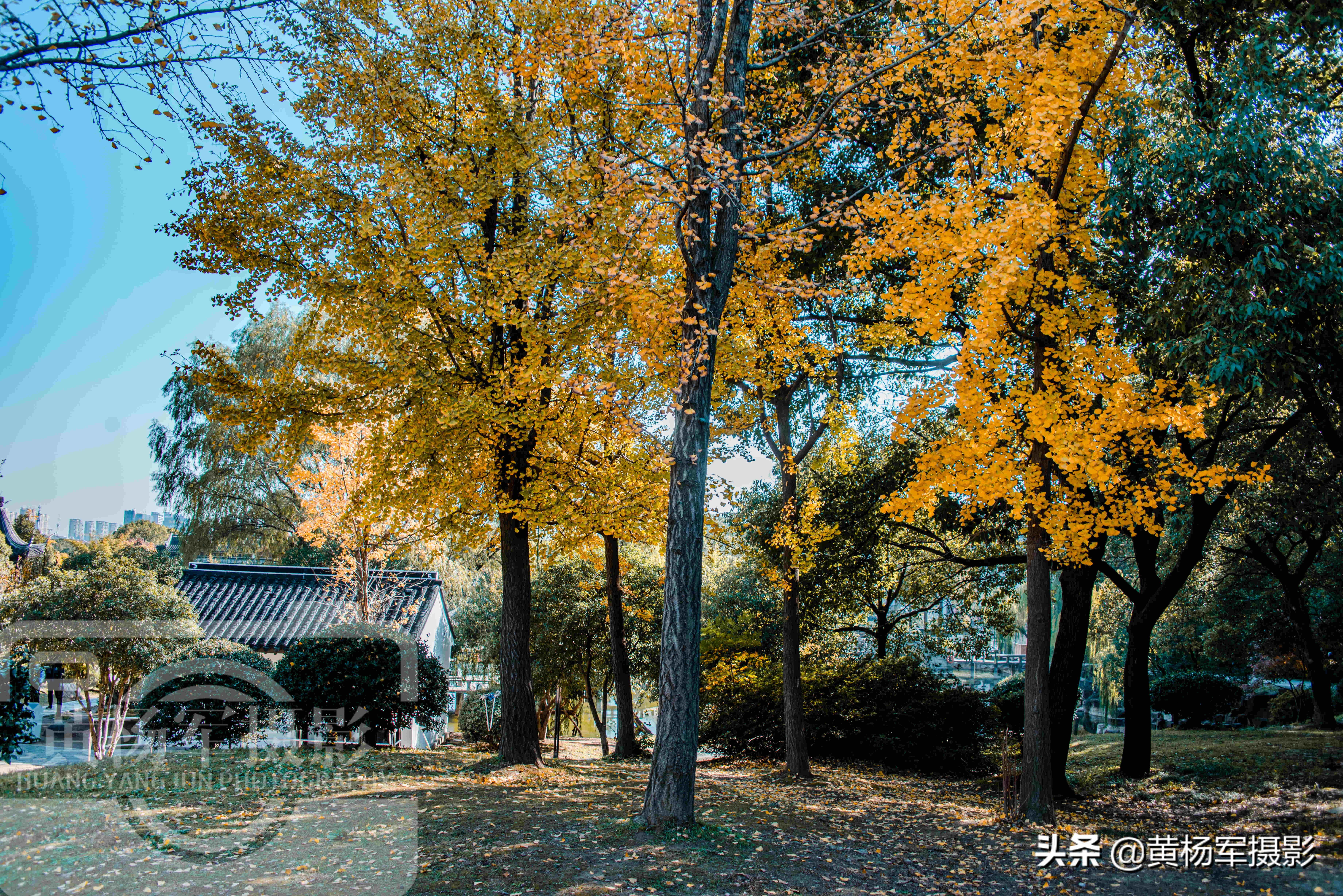 中国最受欢迎的旅游城市苏州，经济比肩重庆，一景区门票仅收1元