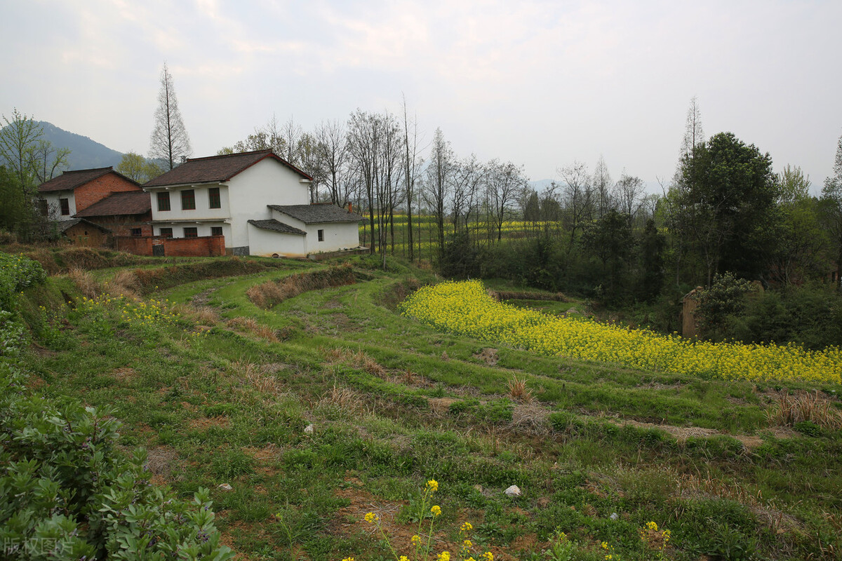 盛恒律师事务所正规么（供吃供住还要额外赡养费）