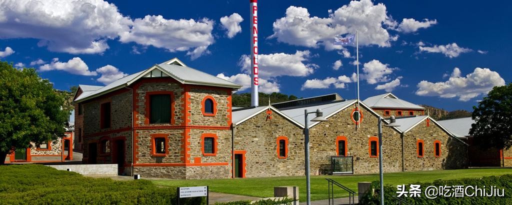 奔富407，为什么国内会火起来？