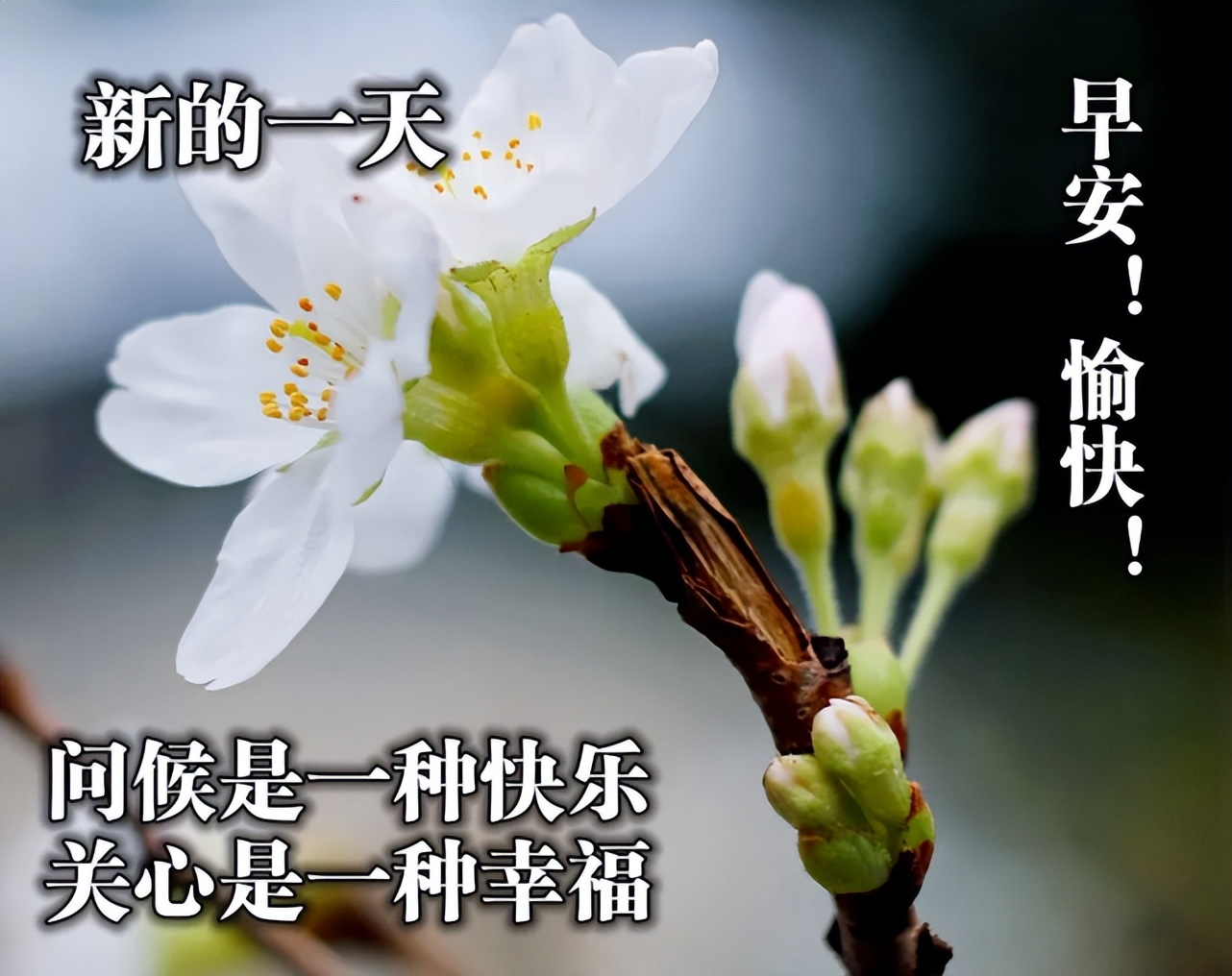 关于晨光的说说短语