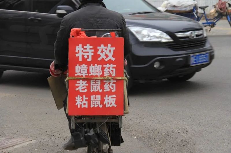 卖蟑螂药老鼠药图片