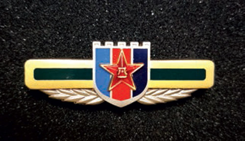 你没见过的红色徽章记忆