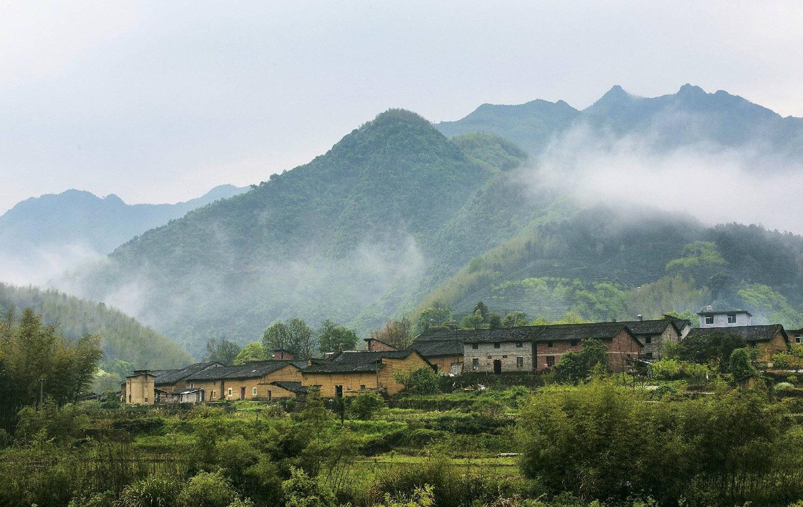武夷山桐木关茶叶价格武夷山下的桐木村