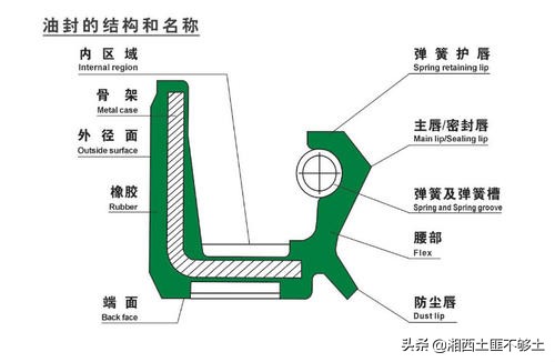 「东晟密封科技」油封密封件知识点