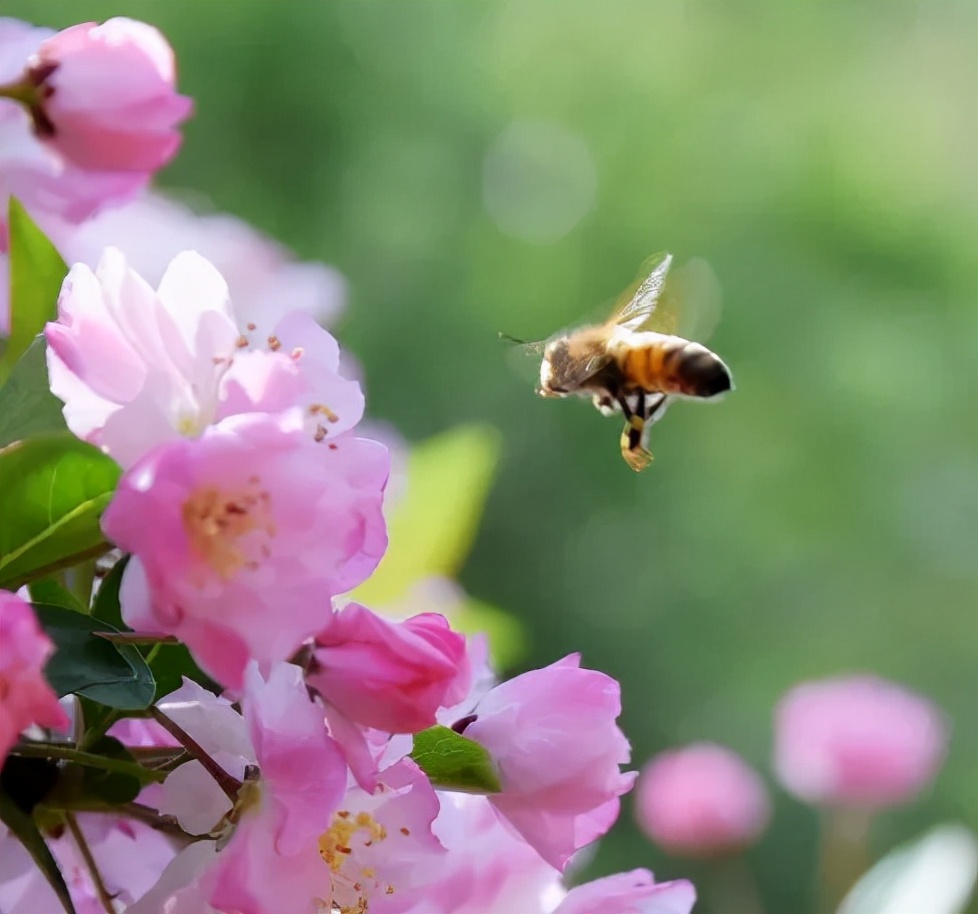 职等你来！优质教师团队，高品质学校，七中实验教师招聘不容错过
