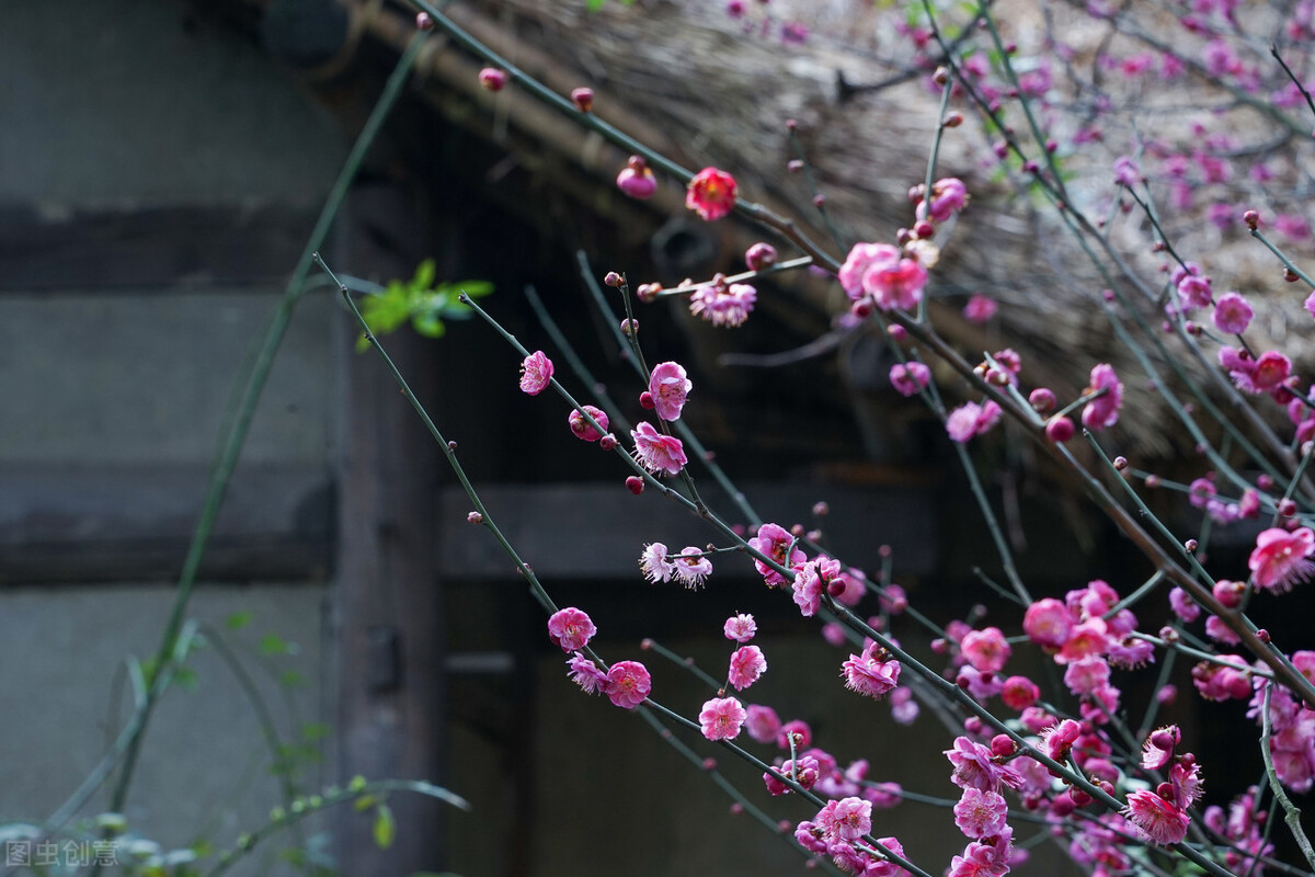 几本爆笑神级沙雕小说，脑洞清奇搞笑不断，看完不笑的绝对不一般