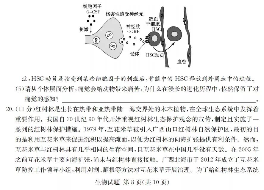 2022届八省高三第一次联考生物学试题（含答案）